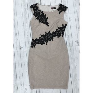 Beige Bandeau Dress Black Lace Sleeveless‎ Bodycon